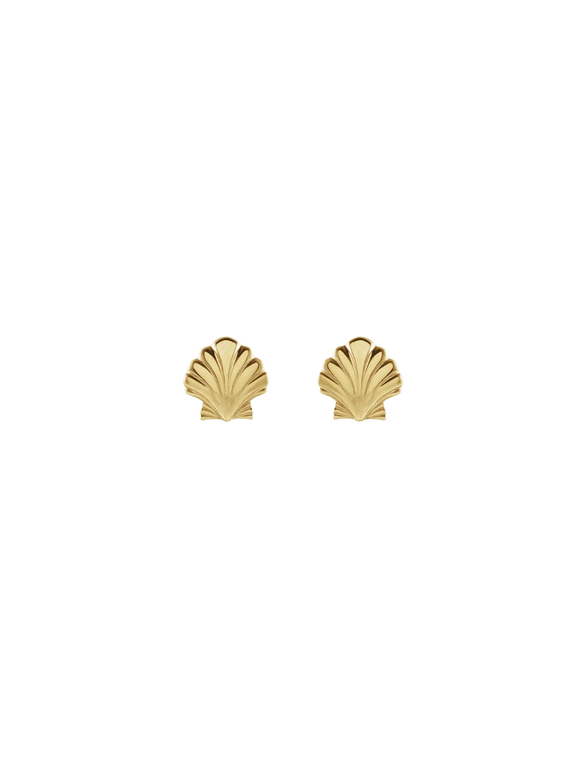 Seashell Studs