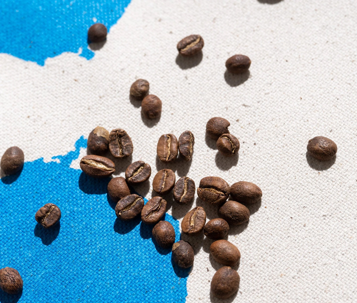Rise With Apollo ORESTHEUS - Guatemalan Single Origin Whole Bean Coffee