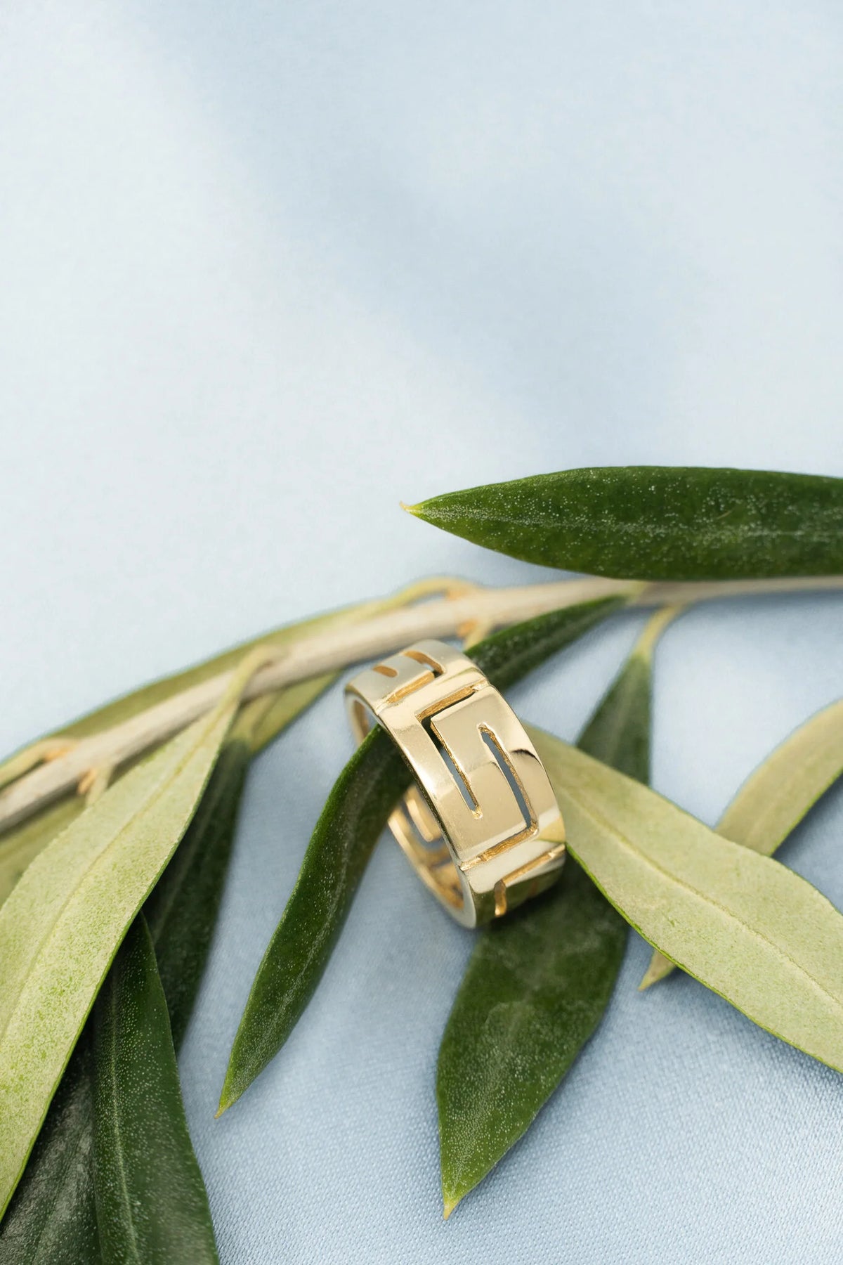 Meandros Puffy Ring