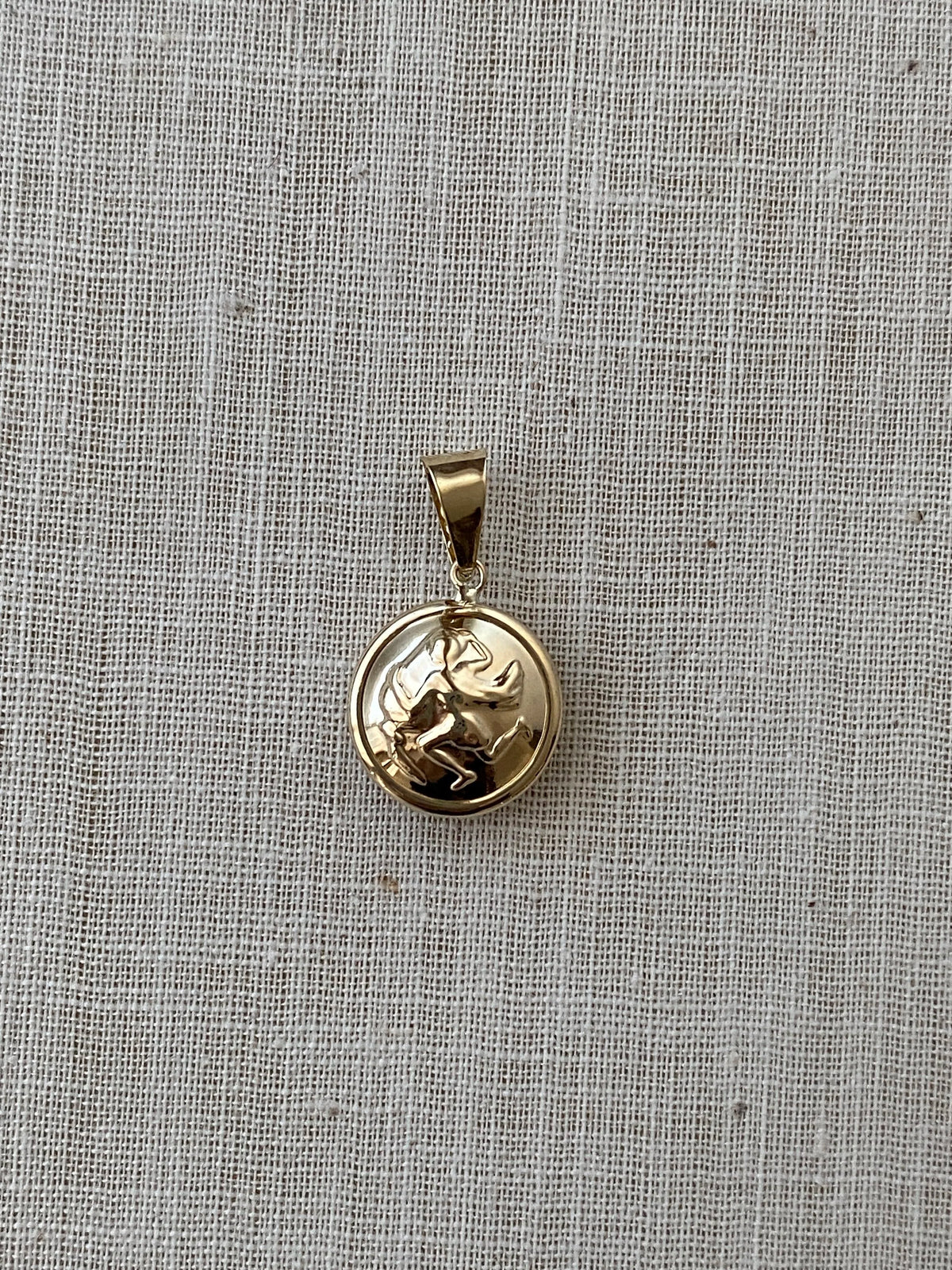 Zodiac Evil Eye Charm