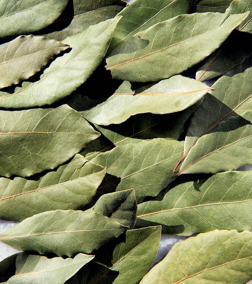 Selected Bay Leaves