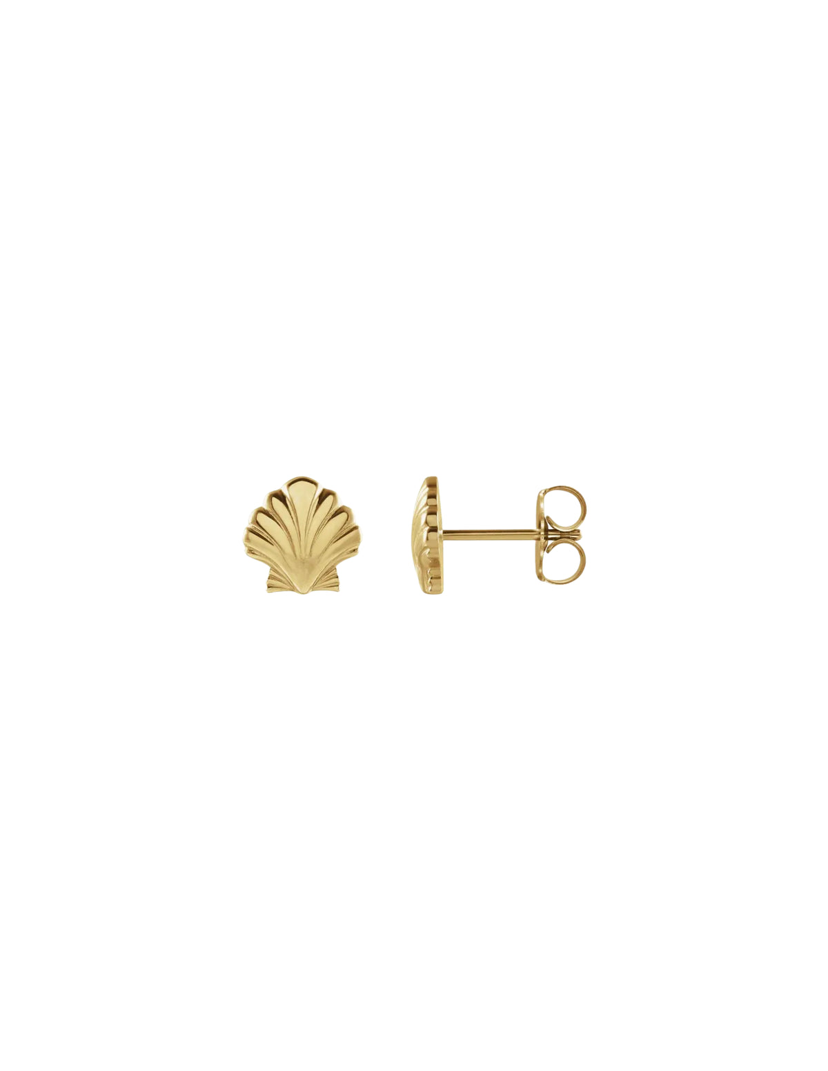 Seashell Studs