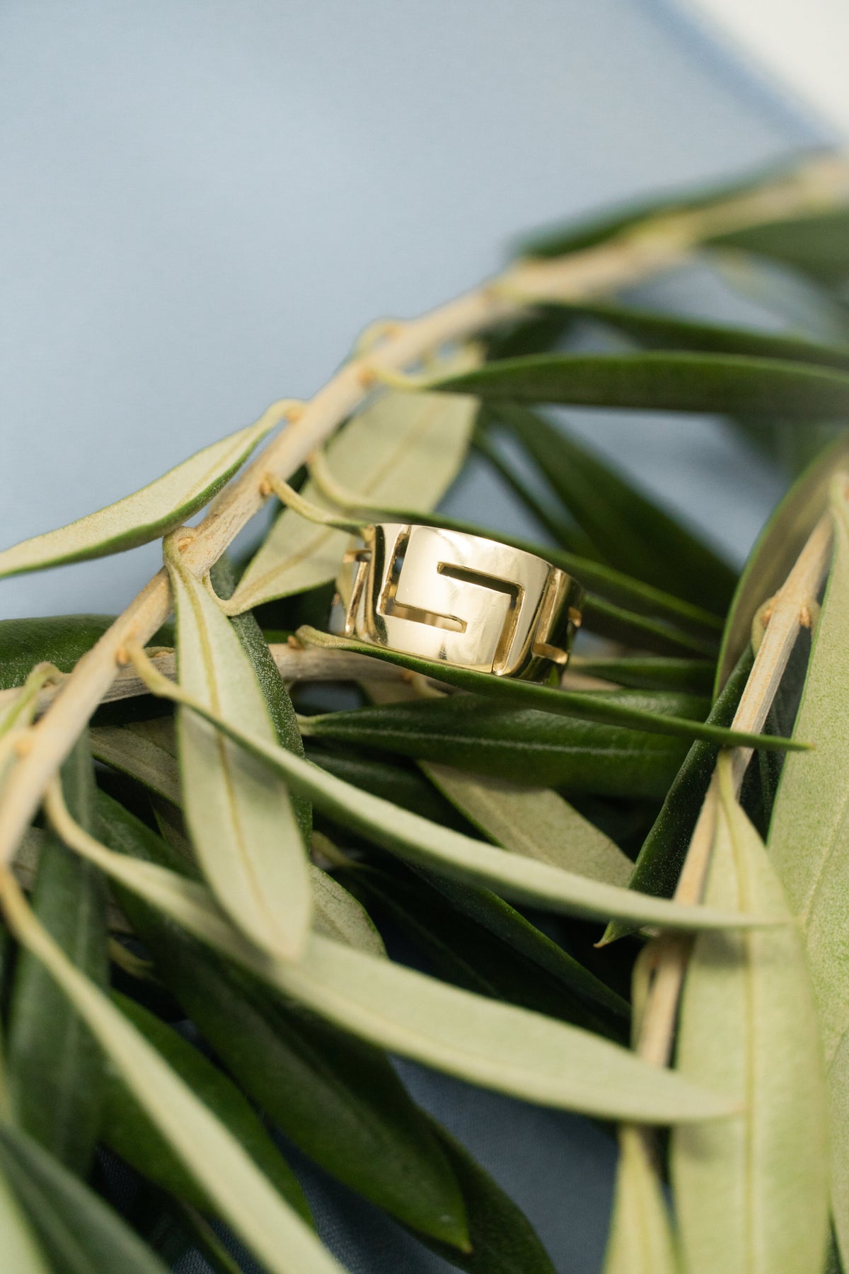Marianthi's Meandros Ring