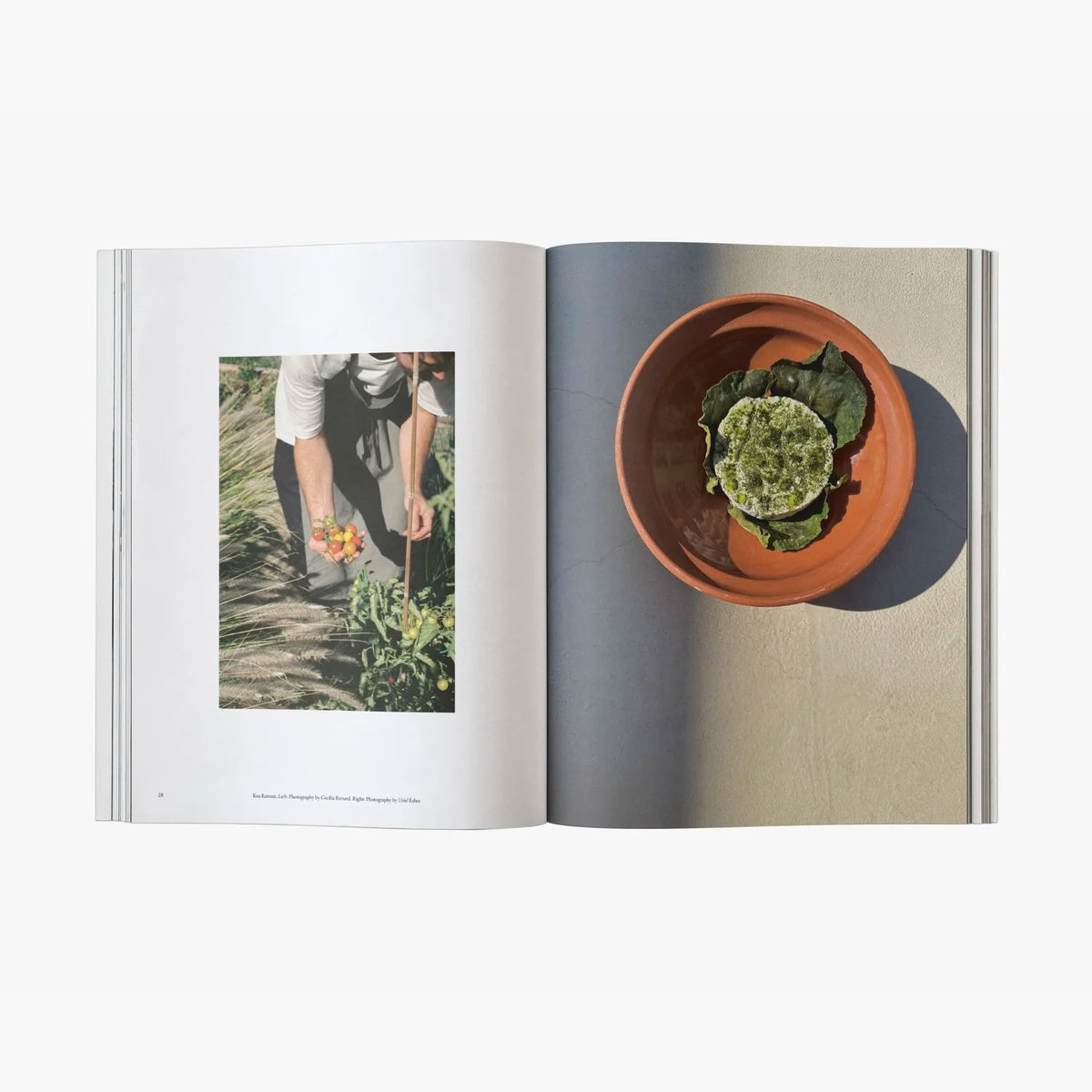 The Greek Foundation Vol 03