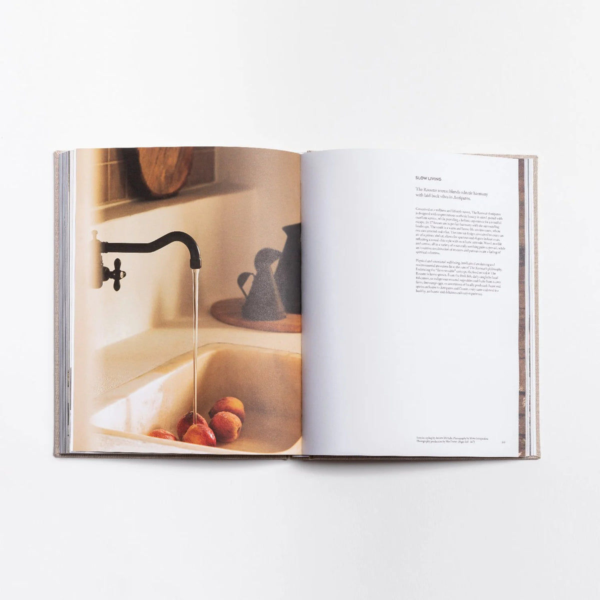 The Greek Foundation Vol 01