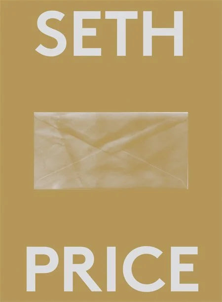 Seth Price: 2000 Words